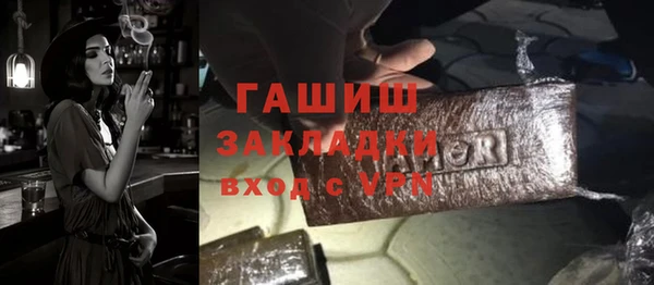 spice Богородск