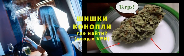 spice Богородск
