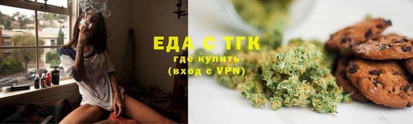 гидра Богданович