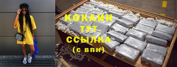 гидра Богданович